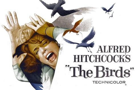 The Birds - Hitchcock's terrifying exploration of nature's revenge and the fragility of human existence!