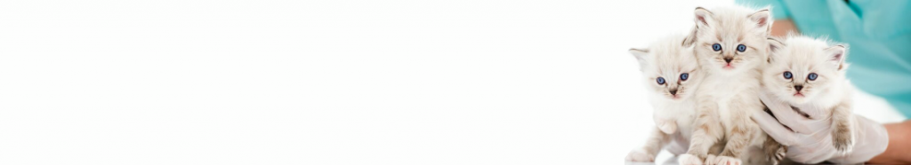 cats-page-footer cats-page-footer